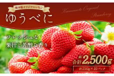 熊本産 ゆうべに 250g×10パック 計2.5kg 【2025年2月上旬～2月下旬発送予定】