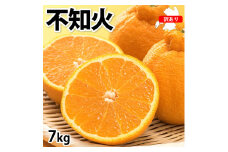 訳あり 不知火 計7kg 【2025年1月下旬から2025年4月下旬発送予定】