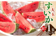 訳あり 大玉すいか 1玉 約6kg〜9kg 送料無料 スイカ すいか 益城町産 お取り寄せ お取り寄せグルメ 西瓜 フルーツ 【2025年5月下旬～7月下旬発送予定】