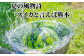 訳あり大玉すいか 1玉
