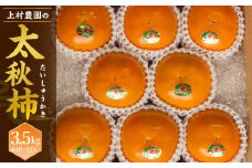 上村農園の 太秋柿 3.5kg (約10〜12玉) 【2025年10月下旬～11月下旬迄発送予定】