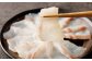 天草の味が楽しめる♪真鯛のお刺身【4～5人前】