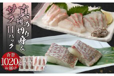 真鯛の切り身&サク 計1020g【firesh®】 