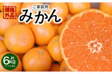 【規格外品】 みかん ご家庭用 約6kg サイズ不選別  蜜柑 ミカン フルーツ 果物 くだもの 柑橘 熊本産 九州産 【2025年10月下旬～2026年2月上旬迄発送予定】