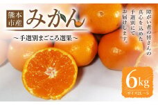 熊本市産 【手選別まごころ選果】 みかん 6kg サイズ2Ｌ～S  蜜柑 ミカン フルーツ 果物 くだもの 柑橘 熊本産 九州産【2025年10月下旬～2026年2月下旬迄発送予定】