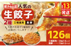 餃子の王国 人気の生餃子 2種 126個 黒豚 生餃子 餃子 ぎょうざ 豚肉 冷凍 国産 熊本 セット