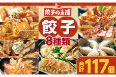 餃子の王国 餃子 8種 セット 合計117個 ぎょうざ 生餃子 生水餃子 水餃子 黒豚 豚肉 冷凍 国産 熊本