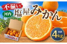 ＜2026年1月発送予定＞【不揃い】選べる 河内 塩屋みかん 4kg 青島みかん 熊本 国産 みかん 蜜柑 ミカン 果物 くだもの フルーツ 