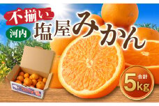 ＜2025年11月発送予定＞【不揃い】選べる 河内 塩屋みかん 5kg 早生みかん 熊本 国産 みかん 蜜柑 ミカン 果物 くだもの フルーツ 