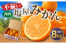 ＜2025年11月発送予定＞【不揃い】選べる 河内 塩屋みかん 8kg 早生みかん 熊本 国産 みかん 蜜柑 ミカン 果物 くだもの フルーツ 