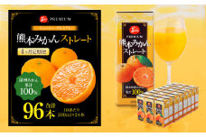 【4回定期便】 ジューシー プレミアム 熊本みかんストレート 100％ 200ml×24本 みかん ミカン 蜜柑 ジュース みかんジュース オレンジジュース 紙パック 国産