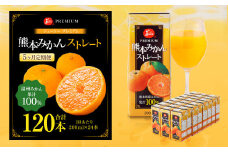 【5回定期便】 ジューシー プレミアム 熊本みかんストレート 100％ 200ml×24本 みかん ミカン 蜜柑 ジュース みかんジュース オレンジジュース 紙パック 国産