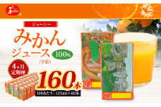 【4回定期便】 ジューシー みかんジュース 100％ （学給） 125ml×40本 みかん ミカン 蜜柑 ジュース オレンジジュース 飲料 紙パック 国産 熊本県