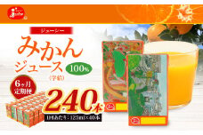 【6回定期便】 ジューシー みかんジュース 100％ （学給） 125ml×40本 みかん ミカン 蜜柑 ジュース オレンジジュース 飲料 紙パック 国産 熊本県