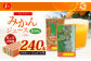 【6回定期便】ジューシー みかんジュース100％（学給） 125ml×40本