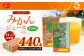【11回定期便】ジューシー みかんジュース100％（学給） 125ml×40本