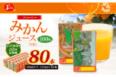 【2ヶ月毎2回定期便】 ジューシー みかんジュース 100％ （学給） 125ml×40本 みかん ミカン 蜜柑 ジュース オレンジジュース 飲料 紙パック 国産 熊本県