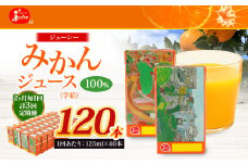 【2ヶ月毎3回定期便】 ジューシー みかんジュース 100％ （学給） 125ml×40本 みかん ミカン 蜜柑 ジュース オレンジジュース 飲料 紙パック 国産 熊本県