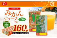 【2ヶ月毎4回定期便】 ジューシー みかんジュース 100％ （学給） 125ml×40本 みかん ミカン 蜜柑 ジュース オレンジジュース 飲料 紙パック 国産 熊本県