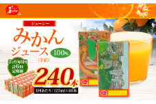 【2ヶ月毎6回定期便】 ジューシー みかんジュース 100％ （学給） 125ml×40本 みかん ミカン 蜜柑 ジュース オレンジジュース 飲料 紙パック 国産 熊本県