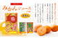 ジューシー みかんジュース100％（学給） 125ml×40本
