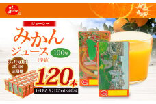 【3ヶ月毎3回定期便】 ジューシー みかんジュース 100％ （学給） 125ml×40本 みかん ミカン 蜜柑 ジュース オレンジジュース 飲料 紙パック 国産 熊本県