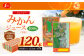 【3ヶ月毎3回定期便】ジューシー みかんジュース100％（学給） 125ml×40本