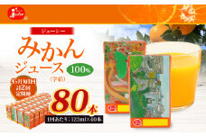 【4ヶ月毎2回定期便】 ジューシー みかんジュース 100％ （学給） 125ml×40本 みかん ミカン 蜜柑 ジュース オレンジジュース 飲料 紙パック 国産 熊本県
