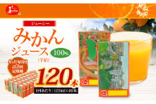 【4ヶ月毎3回定期便】 ジューシー みかんジュース 100％ （学給） 125ml×40本 みかん ミカン 蜜柑 ジュース オレンジジュース 飲料 紙パック 国産 熊本県