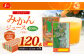 【4ヶ月毎3回定期便】ジューシー みかんジュース100％（学給） 125ml×40本