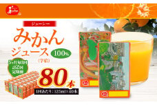 【5ヶ月毎2回定期便】 ジューシー みかんジュース 100％ （学給） 125ml×40本 みかん ミカン 蜜柑 ジュース オレンジジュース 飲料 紙パック 国産 熊本県