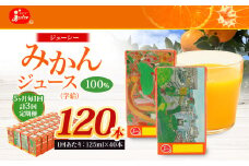 【5ヶ月毎3回定期便】 ジューシー みかんジュース 100％ （学給） 125ml×40本 みかん ミカン 蜜柑 ジュース オレンジジュース 飲料 紙パック 国産 熊本県