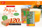 【5ヶ月毎3回定期便】ジューシー みかんジュース100％（学給） 125ml×40本