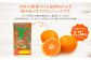 ジューシー みかんジュース100％（学給） 125ml×40本