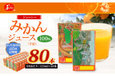 【6ヶ月毎2回定期便】 ジューシー みかんジュース 100％ （学給） 125ml×40本 みかん ミカン 蜜柑 ジュース オレンジジュース 飲料 紙パック 国産 熊本県