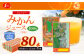 【6ヶ月毎2回定期便】ジューシー みかんジュース100％（学給） 125ml×40本