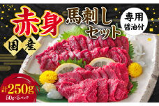 【ふるさと納税】国産 熊本 馬刺し 「赤身馬刺しセット 250g 5人前」赤身 専用醤油 ブロック 冷凍 生食用 プレゼント 贈り物 内祝い