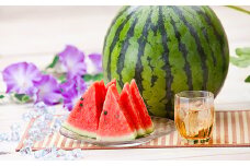 植木産 すいか Lサイズ 1玉 【2025年4月下旬から6月下旬発送予定】 スイカ 西瓜 果物 くだもの フルーツ