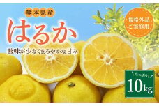 【規格外品】はるか ご家庭用 10kg サイズ不選別 サラダみかん 柑橘 ミカン 果物 【2026年2月上旬～3月下旬迄発送予定】