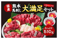 【ふるさと納税】国産 熊本 馬刺し 「大満足セット + 人気の馬肉ユッケ 100g付き」約12人前 上赤身 中トロ 大トロ ロース たてがみ ユッケ