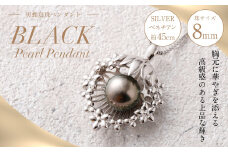 SILVER 黒蝶真珠 8mm ペンダント 真珠 アクセサリー