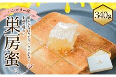 ハンガリー産 巣房蜜 340g はちみつ ハチミツ 蜂蜜 巣房蜜 天然