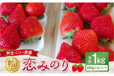 絢音ベリー農園 絢 いちご 恋みのり 1kg （250g×4パック） 苺 先行予約 熊本県 フルーツ 厳選 【2025年12月上旬～2026年2月下旬迄発送予定】