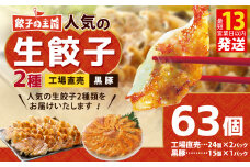 餃子の王国 人気の生餃子 2種 63個 黒豚 生餃子 餃子 ぎょうざ 豚肉 冷凍 国産 熊本 セット