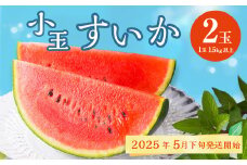 熊本県産 小玉すいか 2玉 スイカ 果物 フルーツ くだもの 西瓜【2025年5月下旬～6月下旬発送予定】