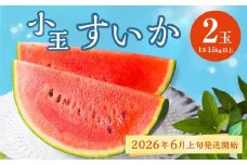 熊本県産 小玉すいか 2玉 スイカ 果物 フルーツ くだもの 西瓜【2026年6月上旬～6月下旬迄順次発送予定】