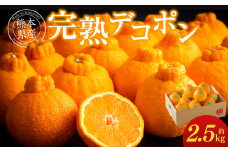 熊本県産 完熟 デコポン 計2.5kg（10～12玉） 果物 くだもの フルーツ 蜜柑 ミカン 柑橘 【2026年3月上旬～3月下旬発送予定】