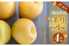 【訳あり】【数量限定】【先行予約】熊本市産 梨 （幸水・豊水・秋月・新高など） 約 4kg 果物 くだもの フルーツ 家庭用 訳あり なし ナシ 常温 熊本 熊本市【2025年8月下旬～10月下旬発送予定】