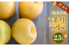 【訳あり】【数量限定】【先行予約】熊本市産 梨 (幸水・豊水・秋月・新高など) 約 2.5kg 果物 くだもの フルーツ 家庭用 訳あり なし ナシ 常温 熊本 熊本市【2025年8月下旬～10月下旬発送予定】