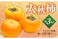 【数量限定】【先行予約】太秋柿 約 3kg 果物 くだもの フルーツ 柿 かき カキ 旬のフルーツ 旬の果物 冷蔵 熊本 熊本市【2025年10月上旬～下旬発送予定】
